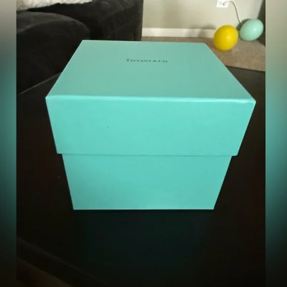 Tiffany & Co Rare Camera Wristlet